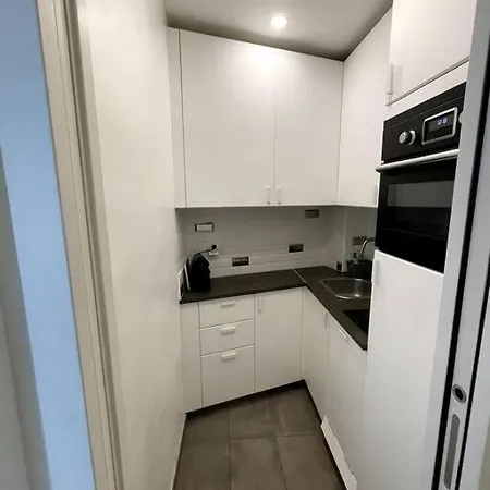 Trocadero: Superbe Parisien Appartement *